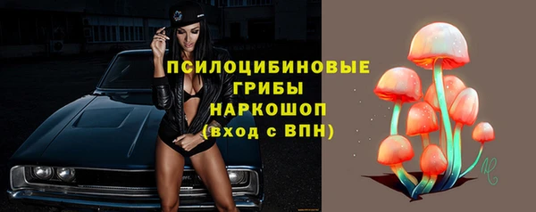 тгк Аркадак