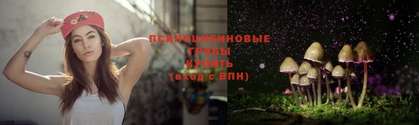 тгк Аркадак